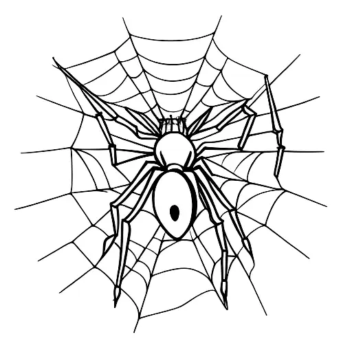 Spider On Web In The Form Of A Heart