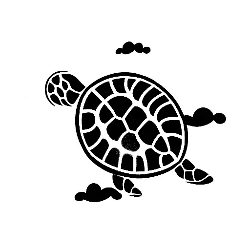 Turtle In The Clouds