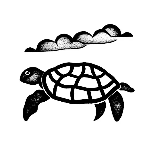 Turtle In The Clouds