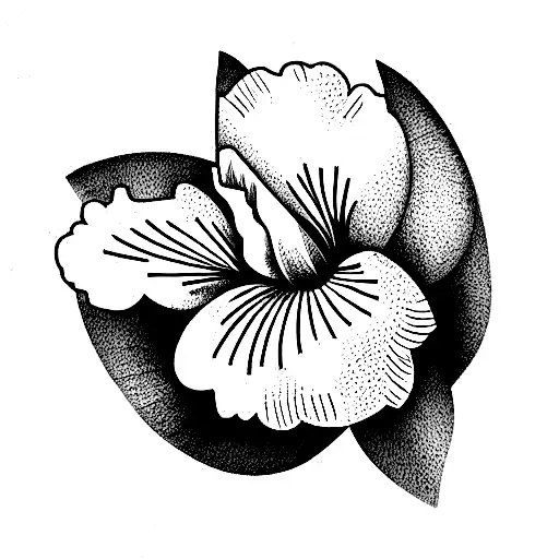 One Line Iris Flower With Tige