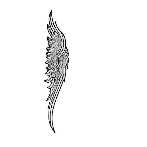 An Angel's Wing