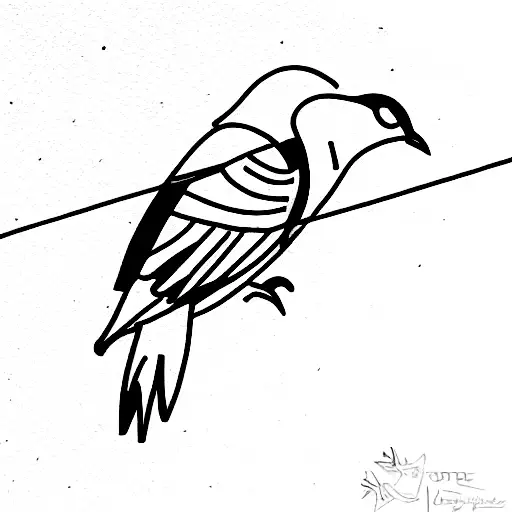 Common Wood Pigeon And Sport Climbing 8A Grade Combined