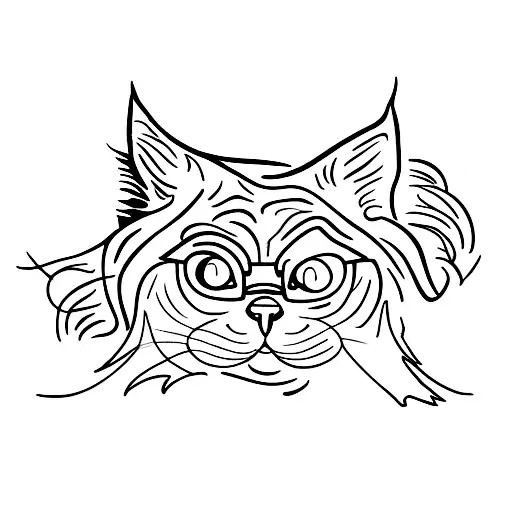 Create Cat Feet And Harry Potter Mixture Include Some Nature