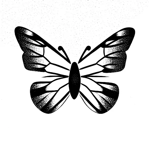 Butterfly With Flowers And Nature