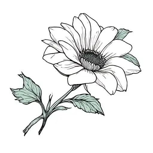 Bouquet Of Morning Glory Daisy Water Lily