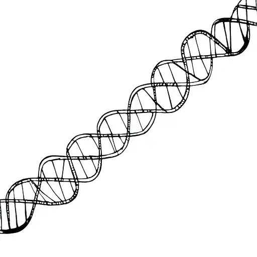A Strand Of Dna With Geometric Patterns