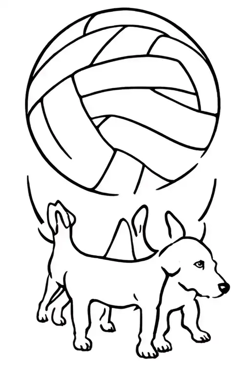 Dogs And Volleyball