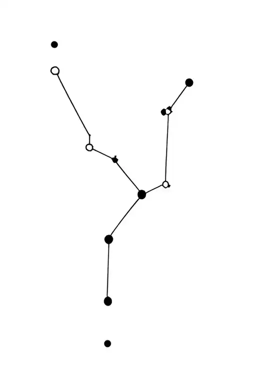 Constellation Gemini