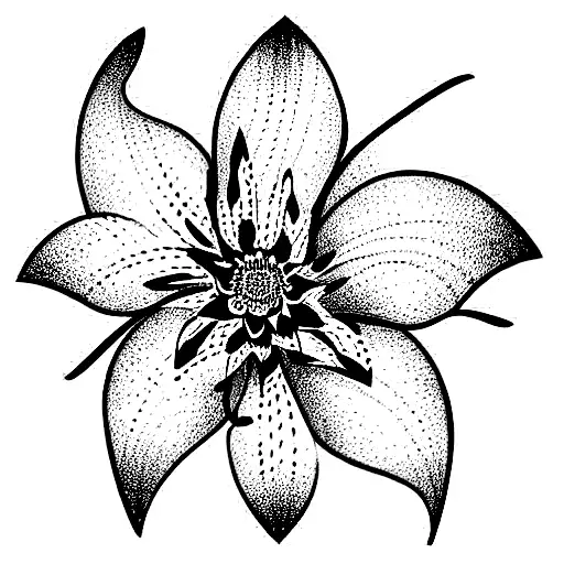 Aranha Lily That Seems Like Snow Flake