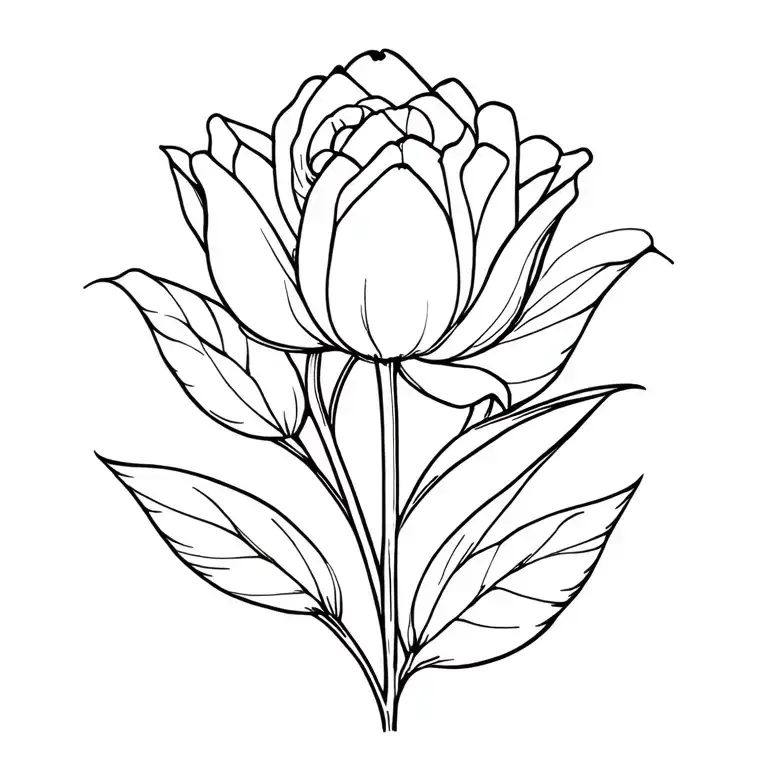 Tulipe Et Rose Surrounded