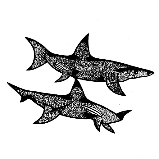 Different Shark Species Swimming Up Together