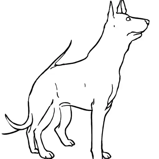 Outline Of My Dog