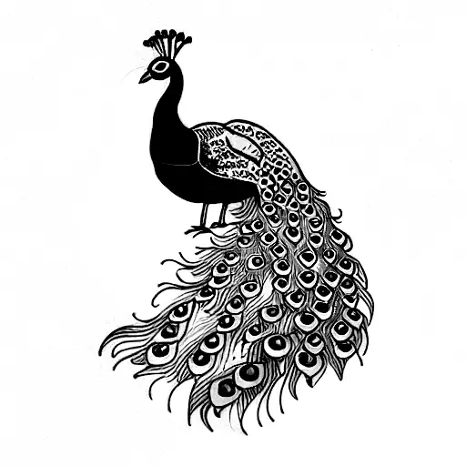 Profile Of Peacock Within An Elaborate Picture Frame