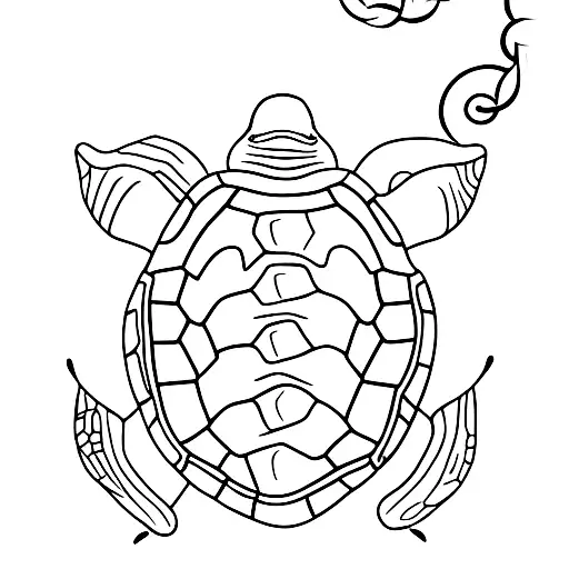 Turtle With A Thin Chain