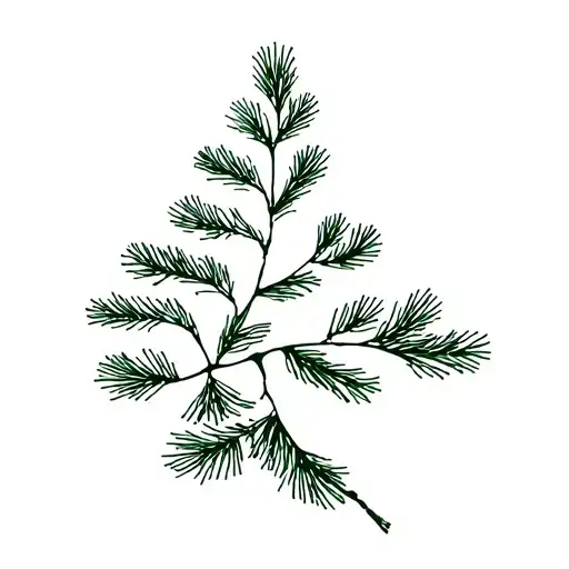 Pine Branch Representing Different Countries