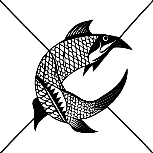 Fish With Numbers On The Side