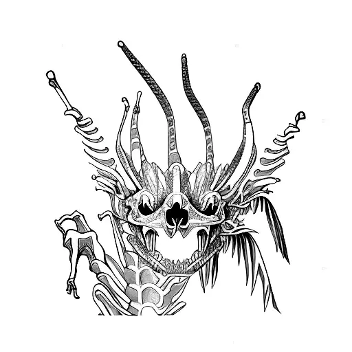 Sinosauropteryx Skeleton