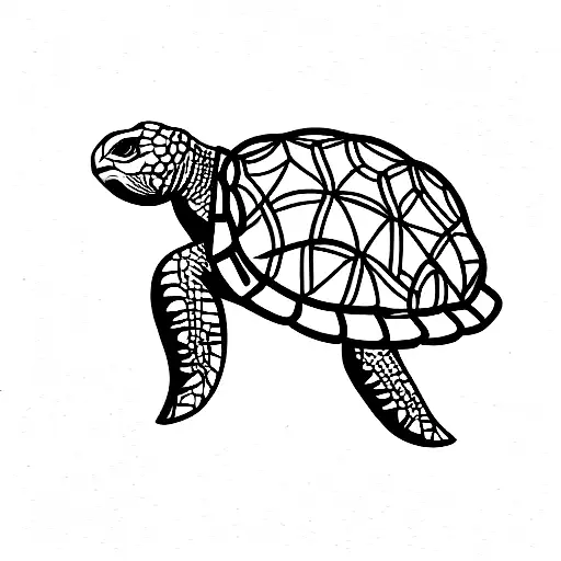 Tortoise With Geometric Background