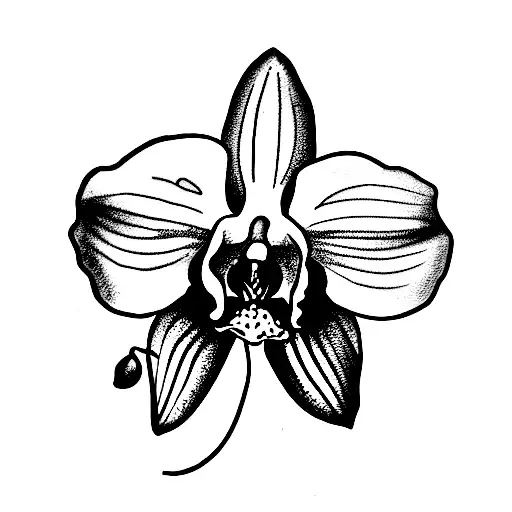 Orchid With Pearl