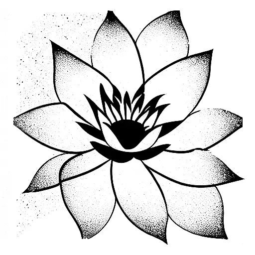 Water Lily With Ocean Wave