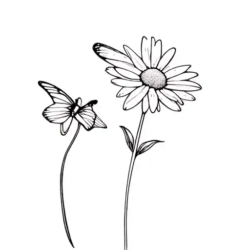 Daisy With Butterfly Resting