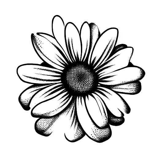 Daisy And Rose Entangled