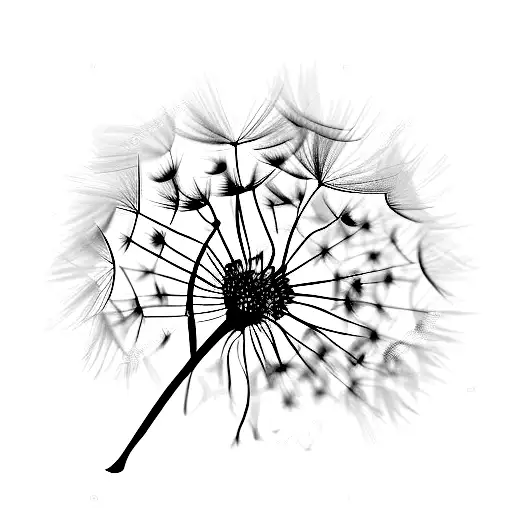 Dandelion