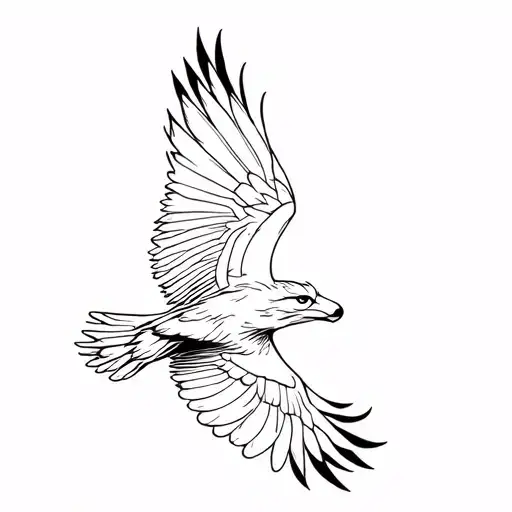 Fox Owl Eagle Flying