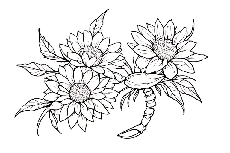Scorpio And Chrysanthemum Flowers