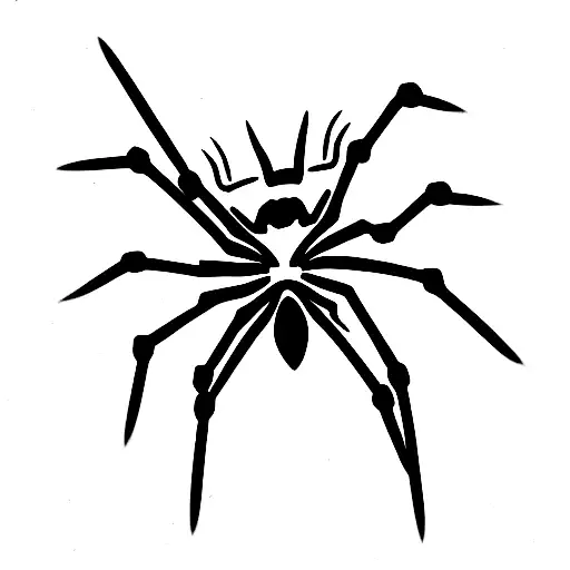 Spider