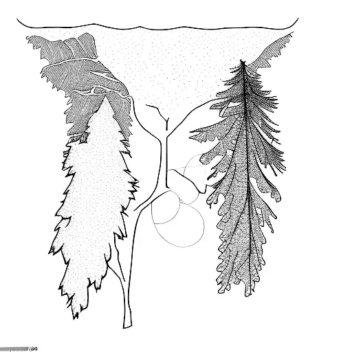 A Black And White Drawing Of A Tree