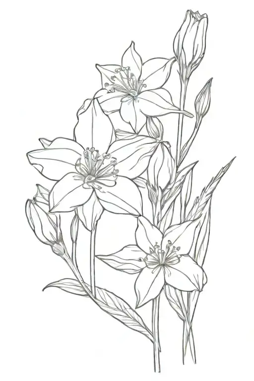 Daffodil And Snowdrop And California Poppy And Dogwood Flower And Lantana Flower