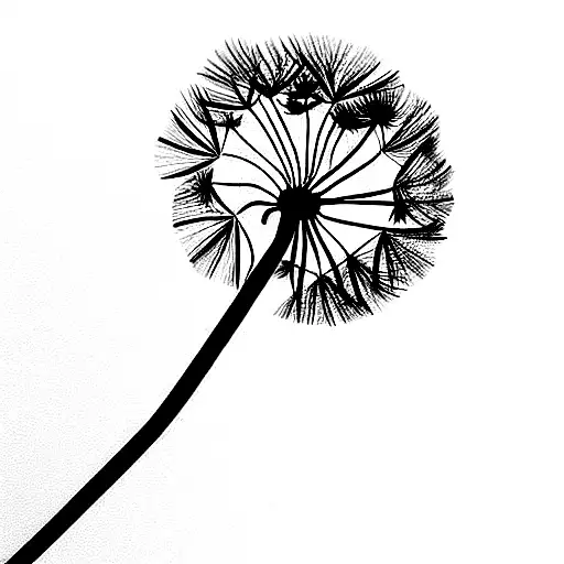 Dandelion With Seeds Drifting Away Transforming To Symbols