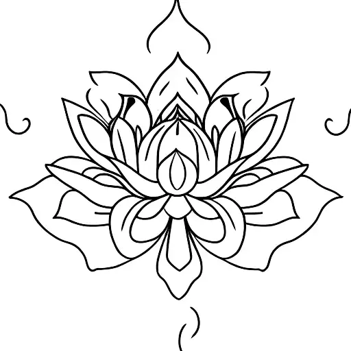 Lotus Flower