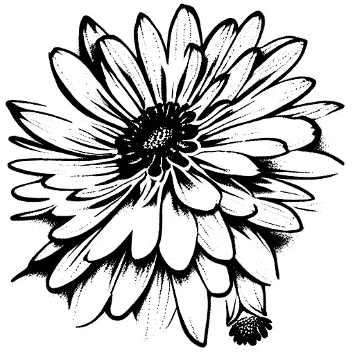 Chrysanthemum With A Daisy And Rose