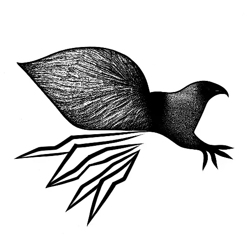 Sydney Opera House And Kiwi Bird