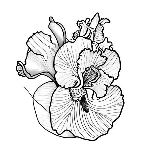 Carnation Flower Iris Flower Daffodil Flower And Morning Glory Flower On Spine With Baby Breaths