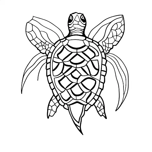 Sea Turtle Minimalistic