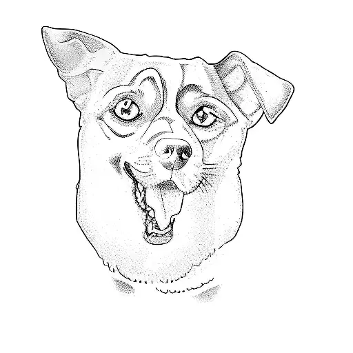 A Dog With Blue Eyes