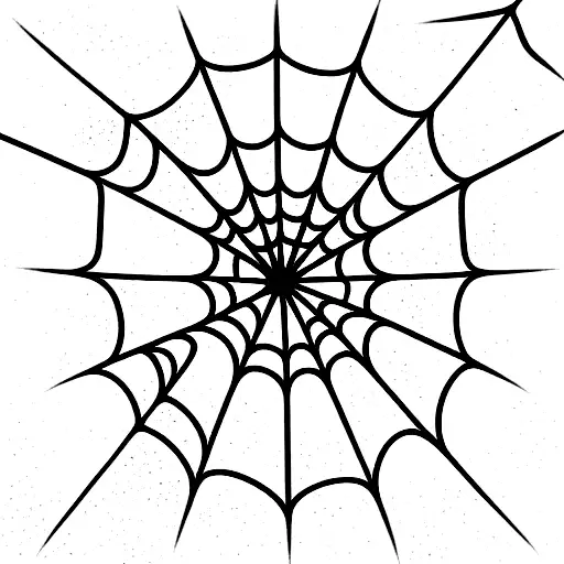 Spider Web
