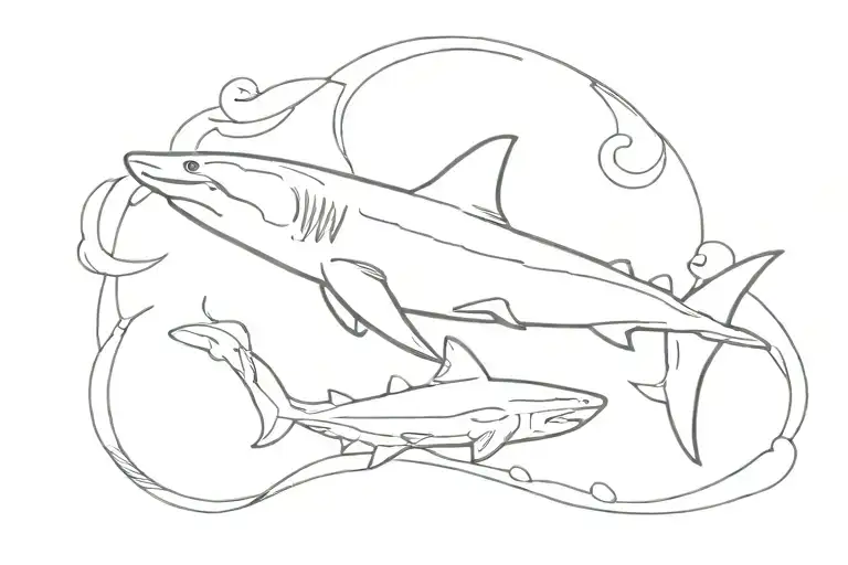 Sea Shark And Travel