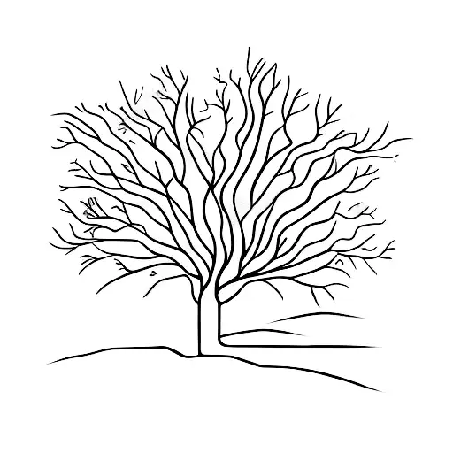 Stoicism Symbolized Through A Minimalist Illustration Of A Strong And Resilient Tree