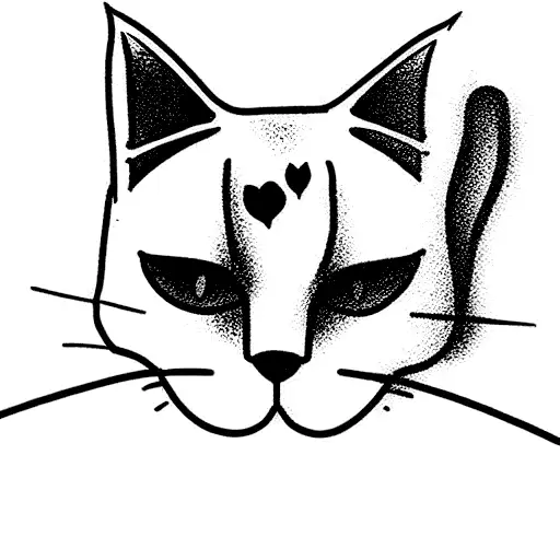 A Cat That His Name Is Belfi