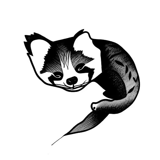 Red Panda Laying On Branch