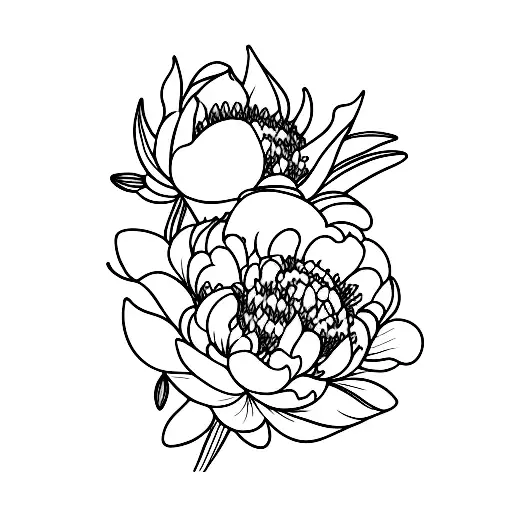 Peonies And Lily Of The Valley