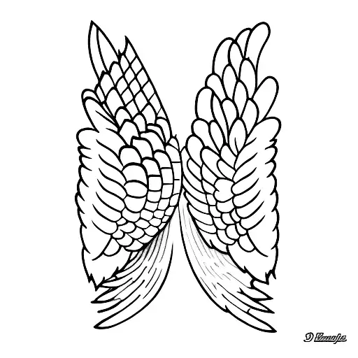 Bird Wings Spread Out