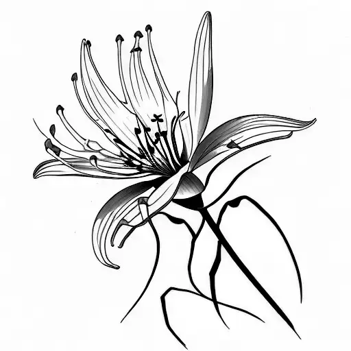 Rocky Shoals Spider Lily