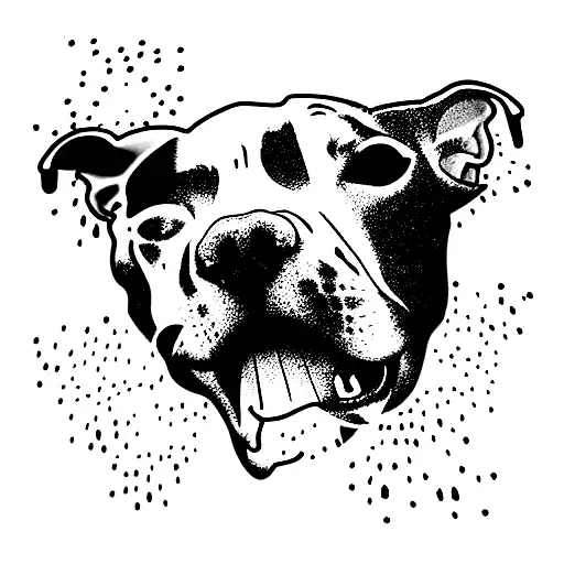 Pitbull Named Cheese