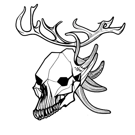 Deer Skull With Broadhead