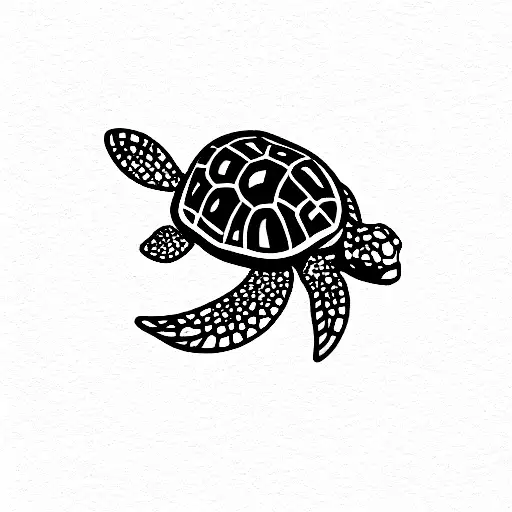 Coral With Turtle Silhouette